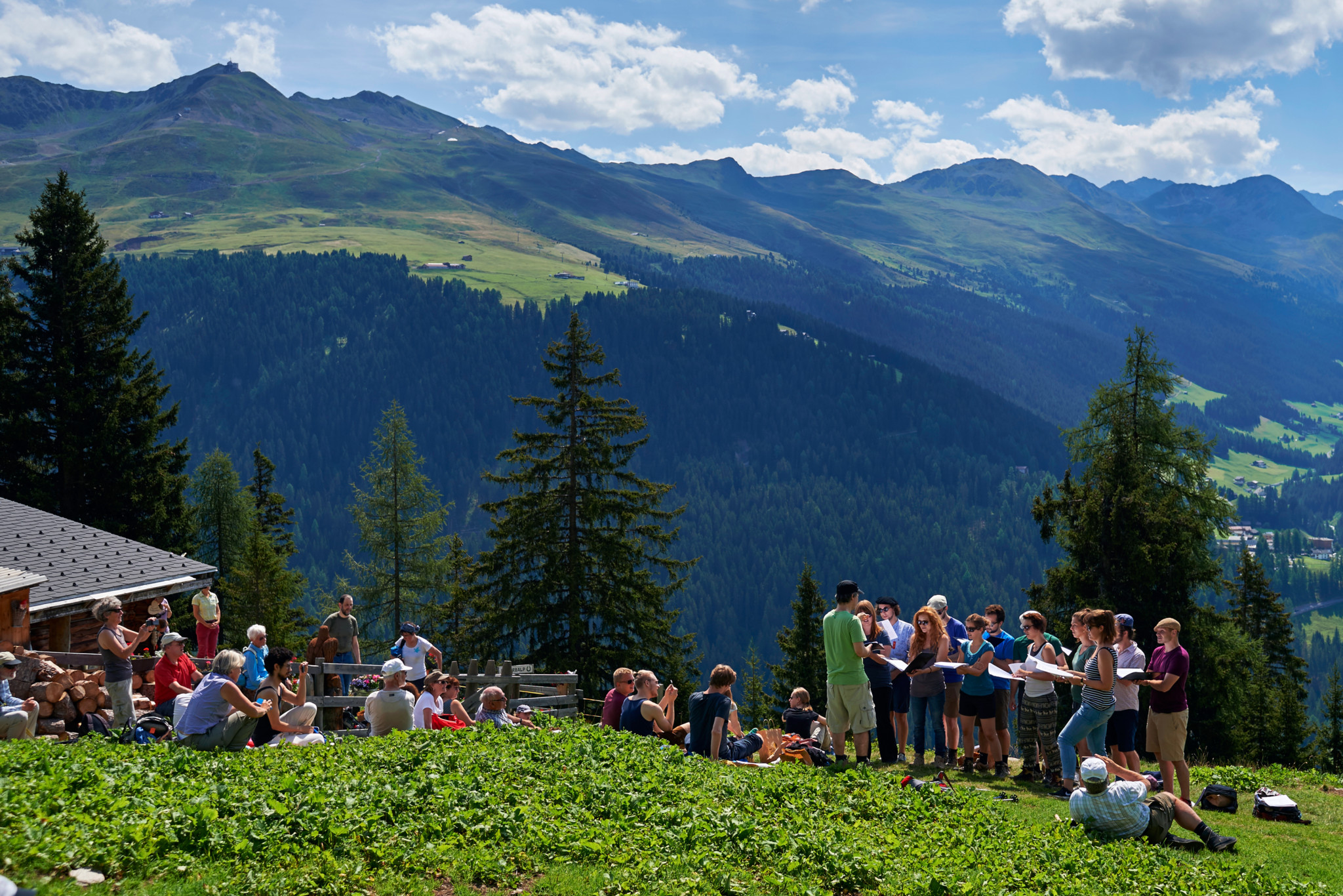 Davos Festival