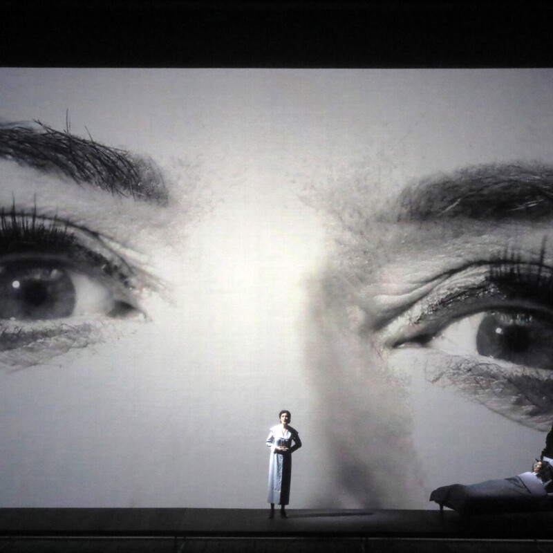 7 Deaths of Maria Callas: Adela Zaharia (Lucia di Lammermoor), Marina Abramović
