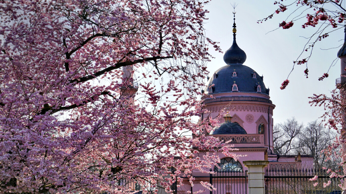 Eine Spur des Erfolgs