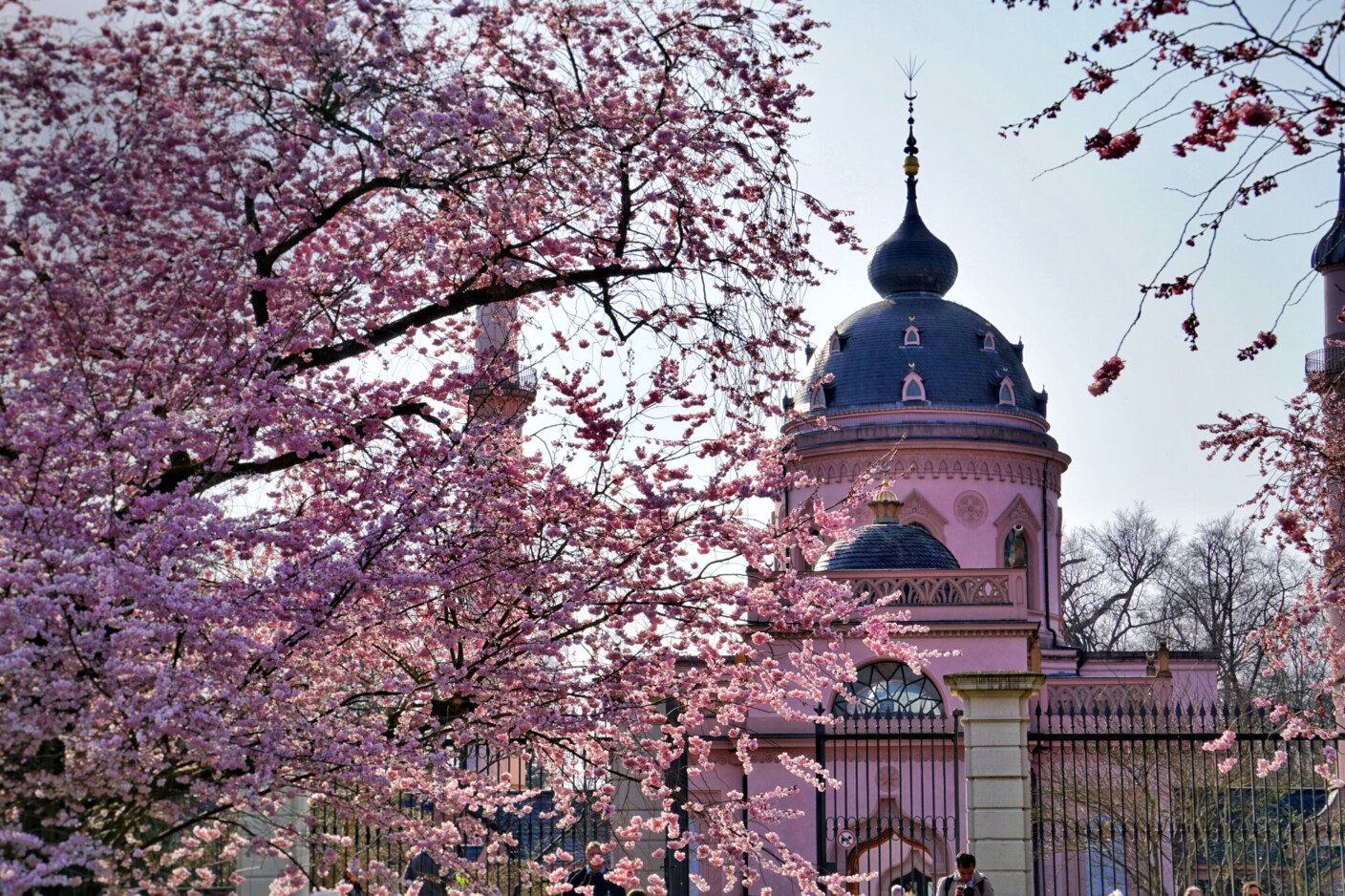 Eine Spur des Erfolgs